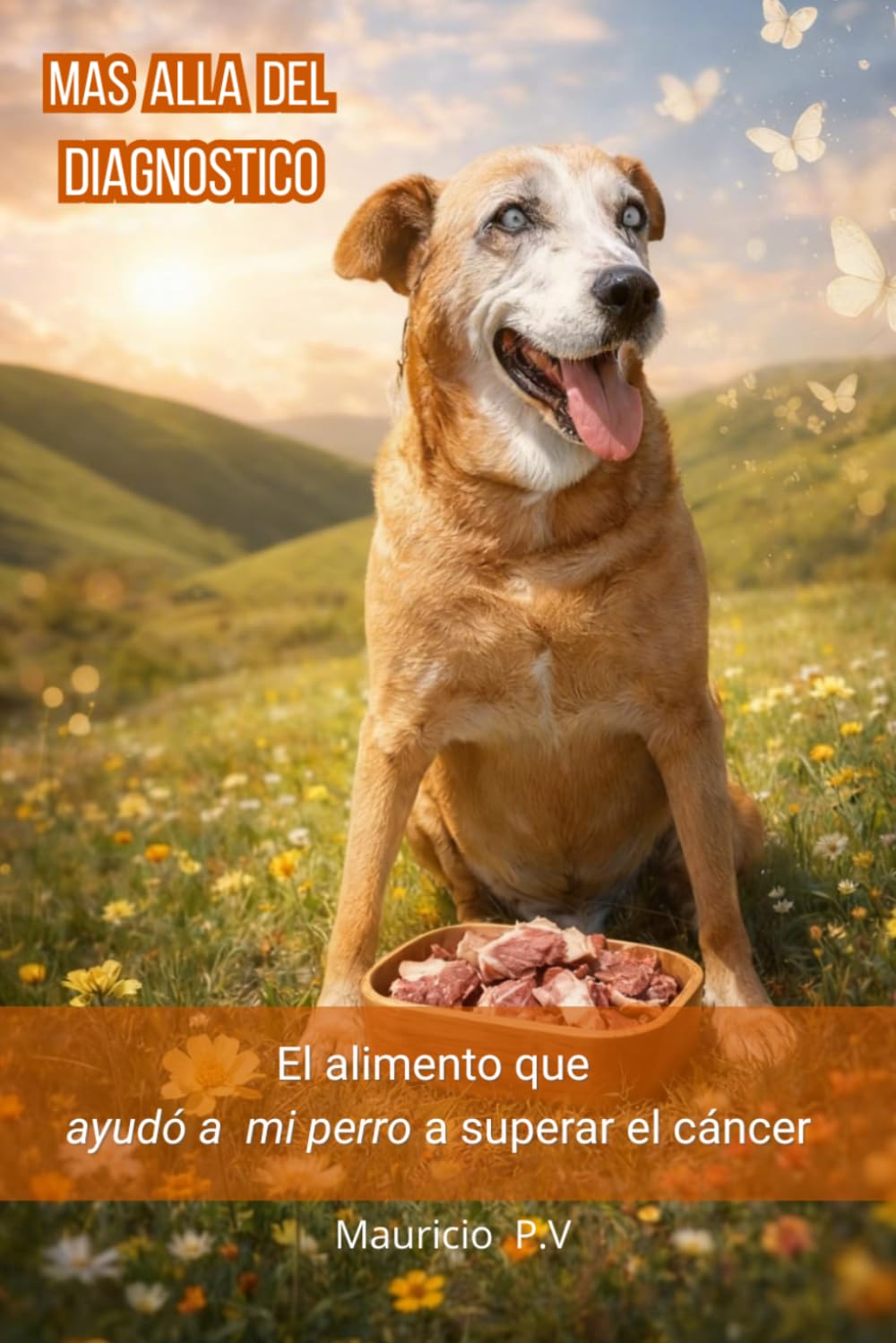 MAS ALLA DEL DIAGNOSTICO