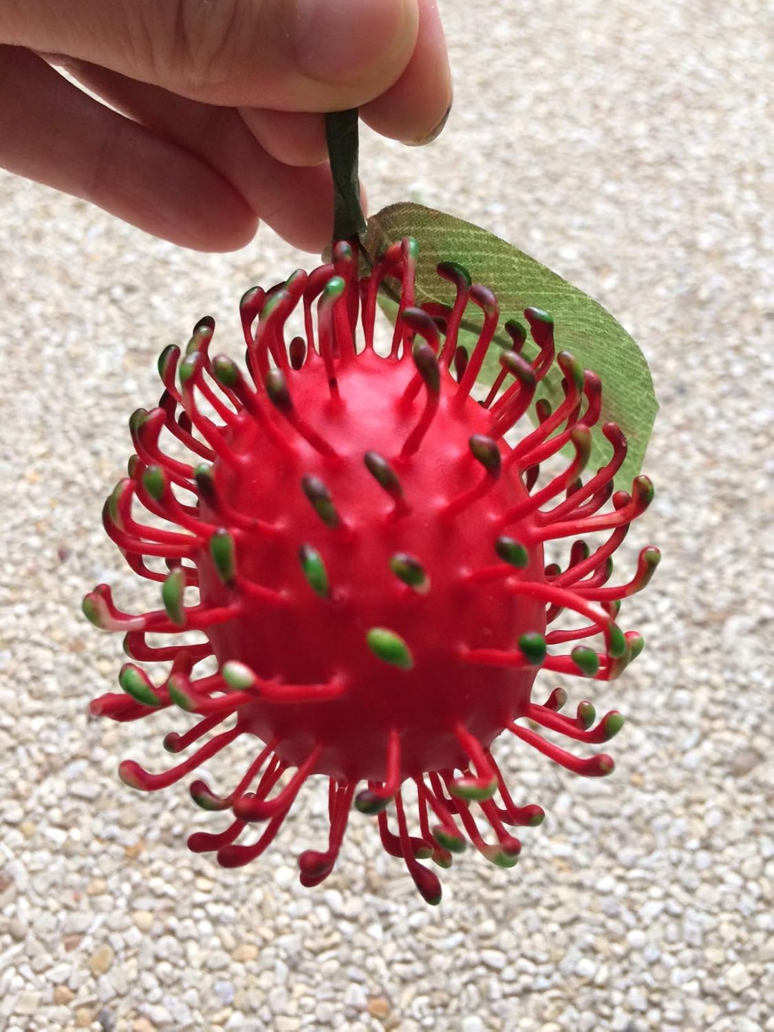 Artificial Rambutan Fake Fruit ( Pack of 6 )