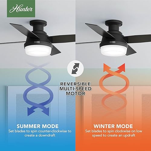 Miniatura 4 de Hunter Fan Company 52390 Dempsey Ventilador de techo, 44 pulgadas, negro mate