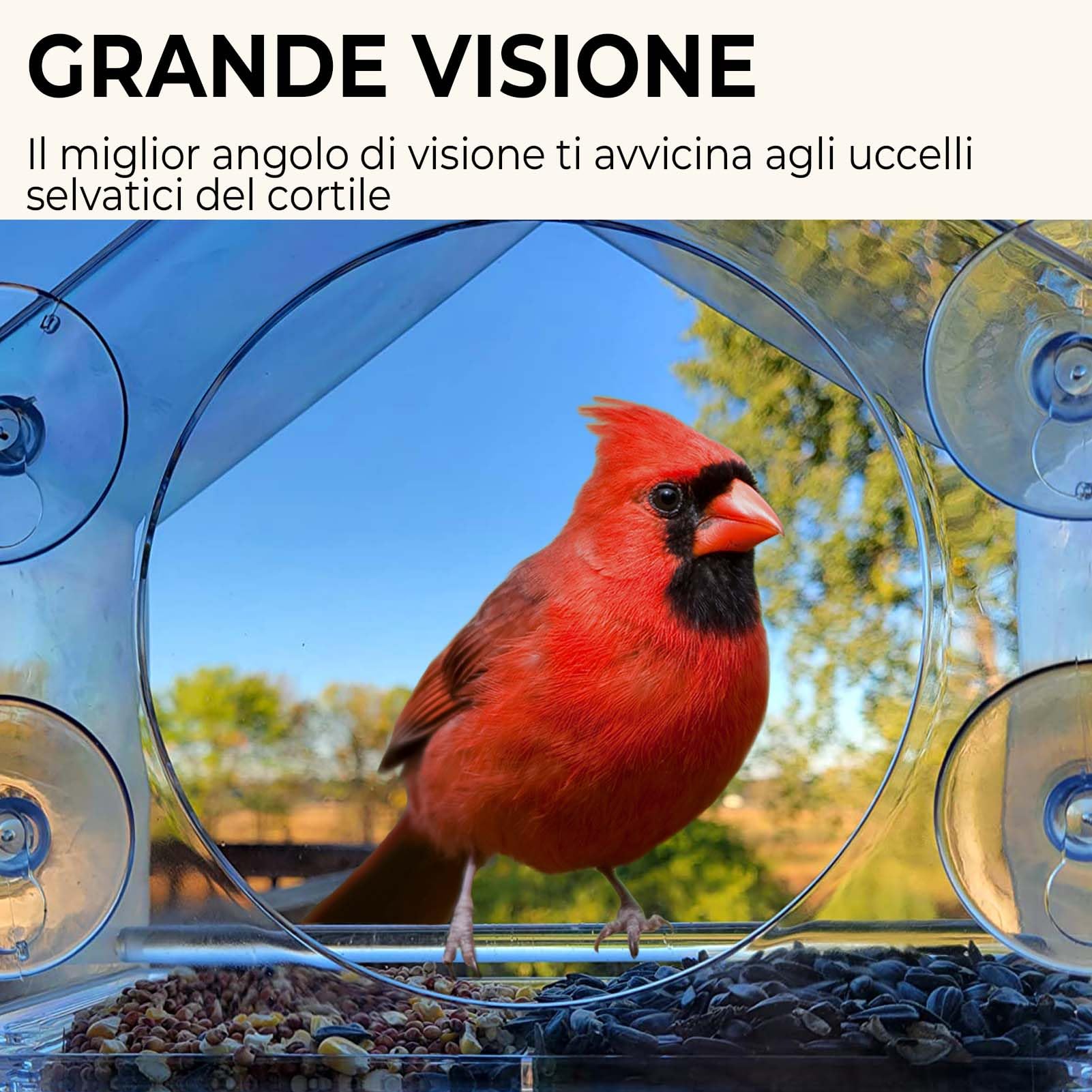 Una Mangiatoia per Uccellini da una Bottiglia di Plastica
