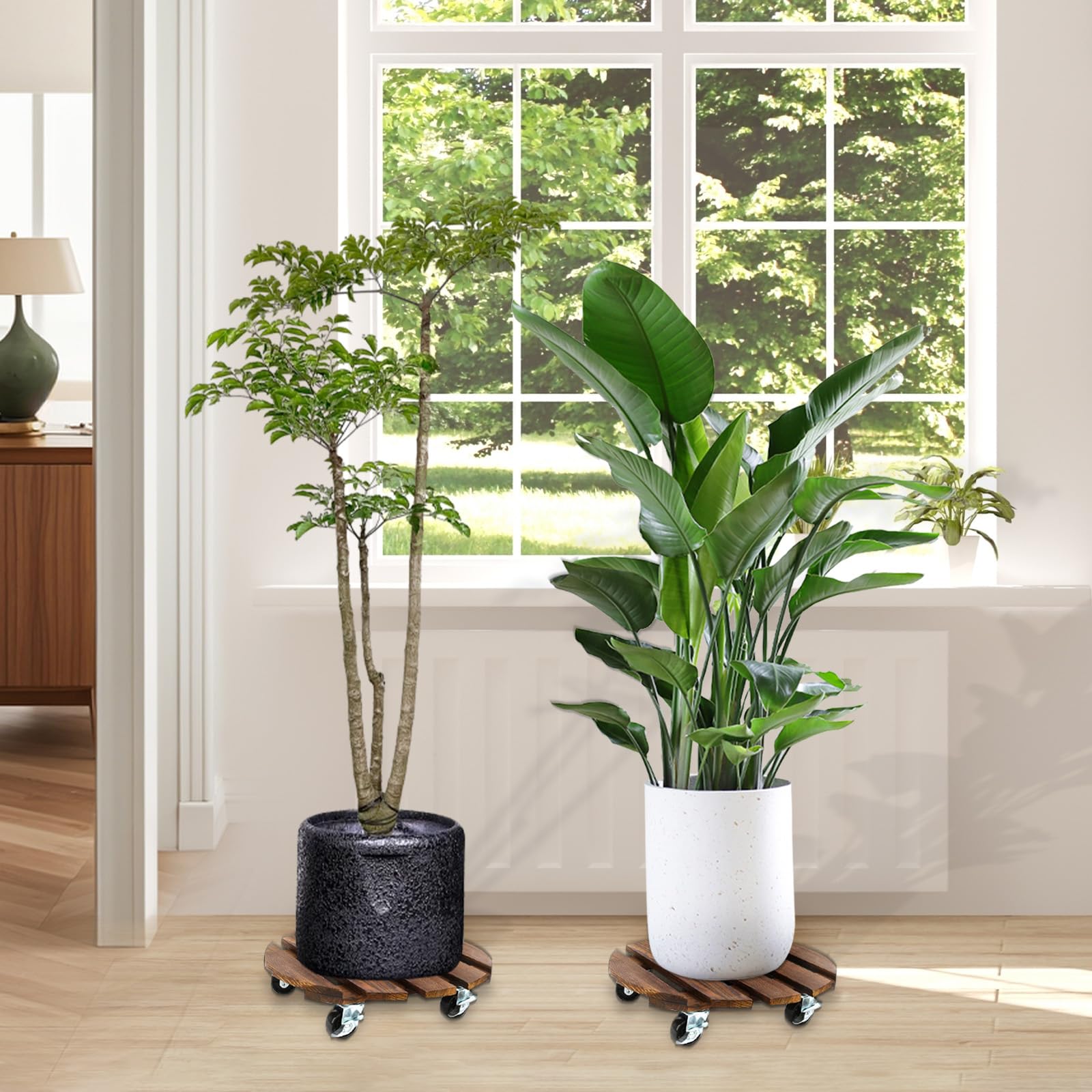 Porte Plante a roulettes, Lot de 2 Supports de Pots de Fleurs à roulettes Ø 300 mm, Support Plante Roulette, Capacité de 100KG, Plateau a Roulette pour Extérieur à Intérieur