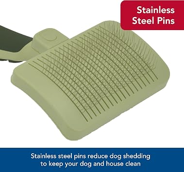Coastal Pet Safari Dog Self-Cleaning Slicker Brush - Dog Deshedding Brush - Prevents Mats and Tangled Hair - For Dogs with Short or Long Hair - Small - 7 x 3.6