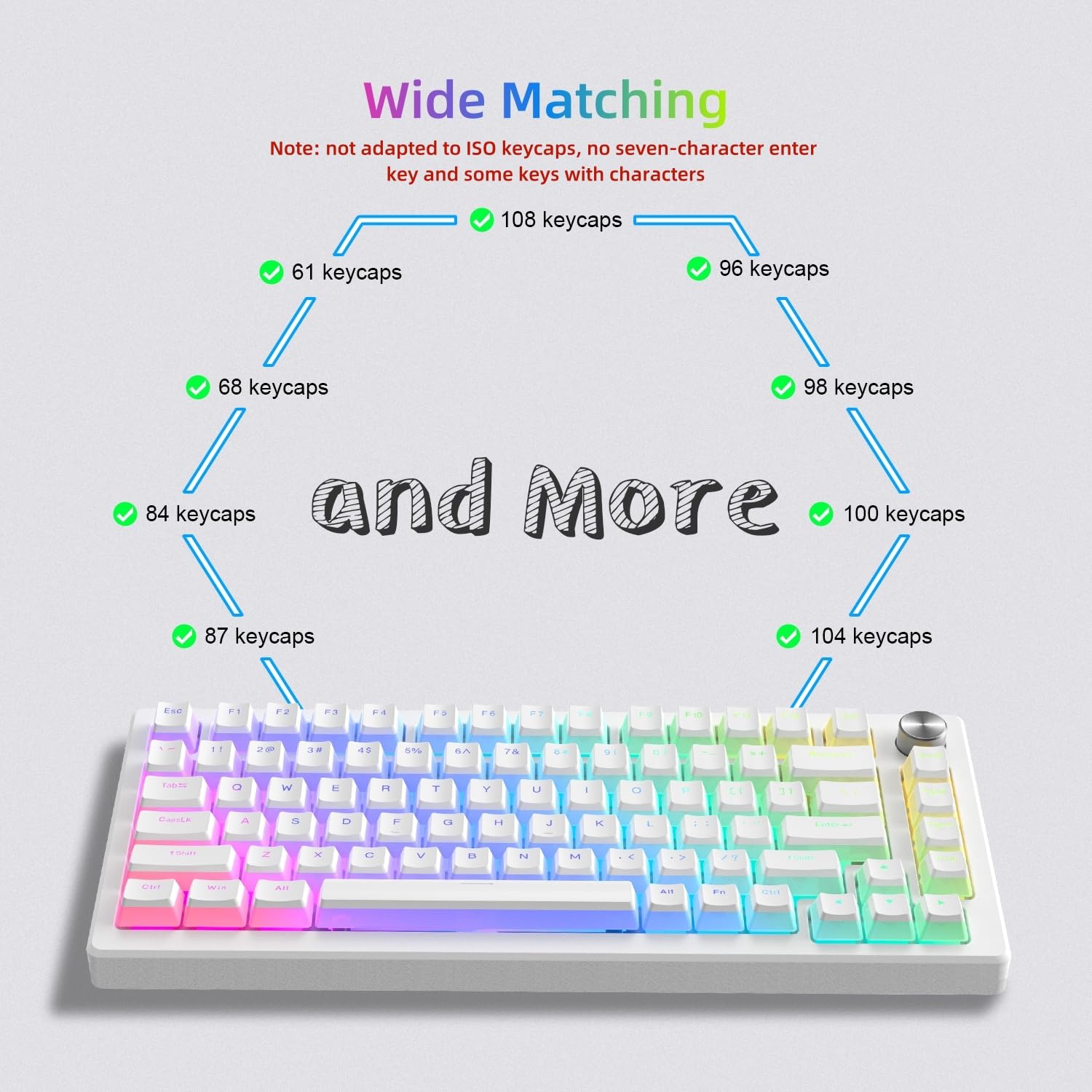 Pudding Keycaps, 165 PBT Touches Ensemble QWERTY, Profil OEM Keycaps Personnalisé ANSI US Layout, compatibilité Universelle pour Claviers à 100%, 75%, 65%, 60% - Blanc（ISO Non Inclus）