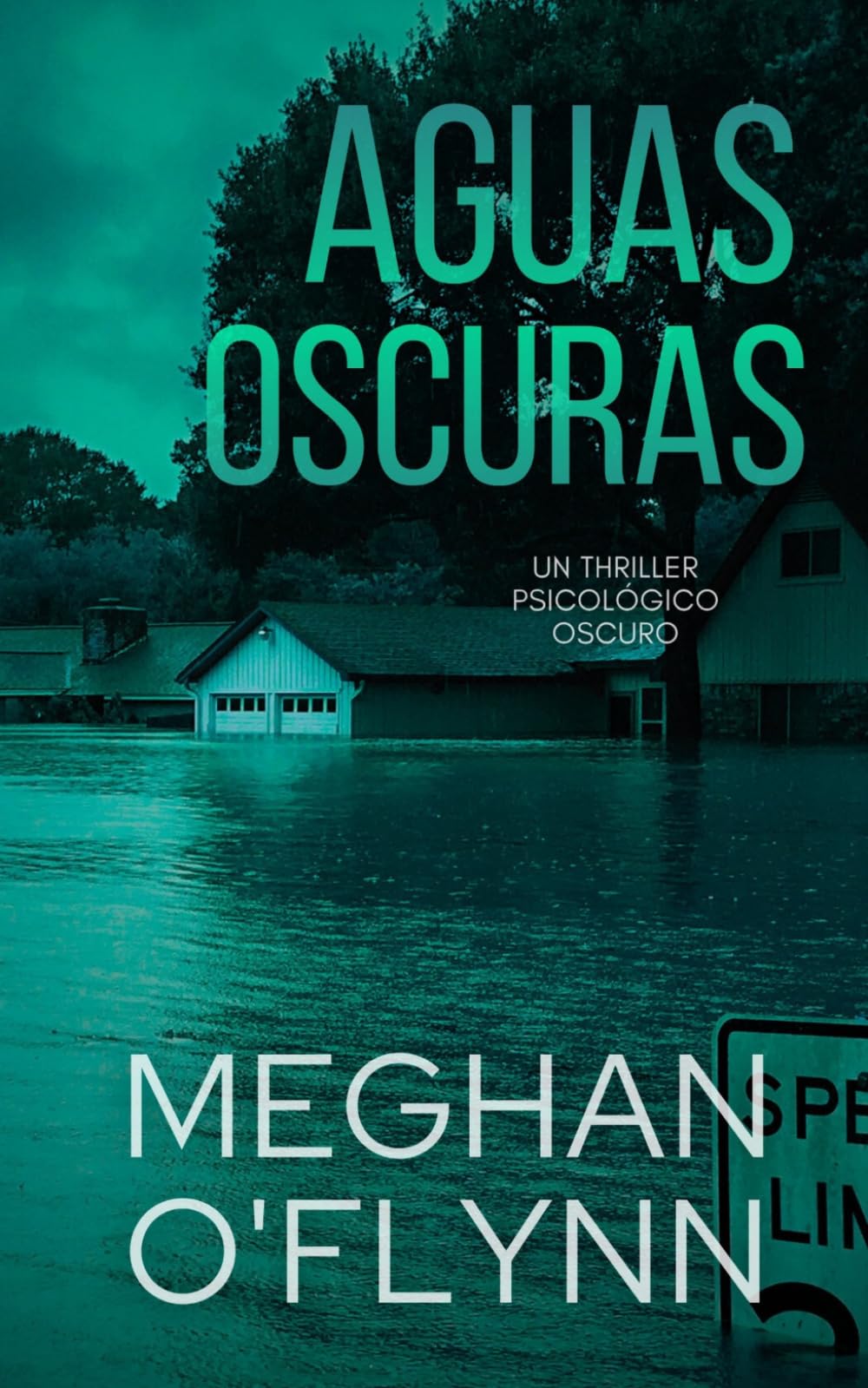 Aguas Oscuras: Un thriller psicológico oscuro