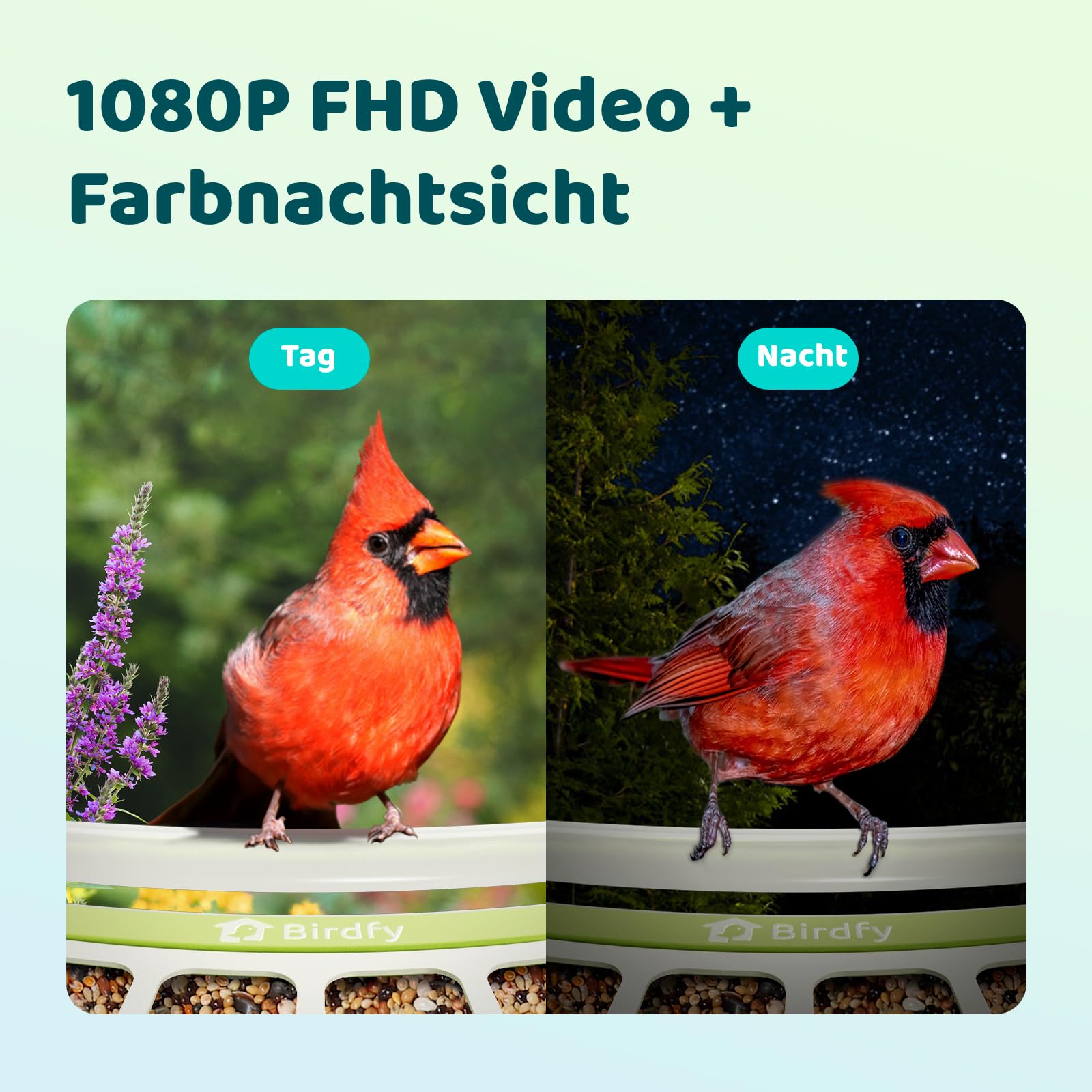 Birdfy Metall Vogelfutterhaus mit Kamera zur Live-Vogelbeobachtung, KI Vogelerkennung ohne ABO, 1080P Kabellos Vogelfutterstation mit Farbnachtsicht, Echtzeit-Benachrichtigung, Solarbetrieb