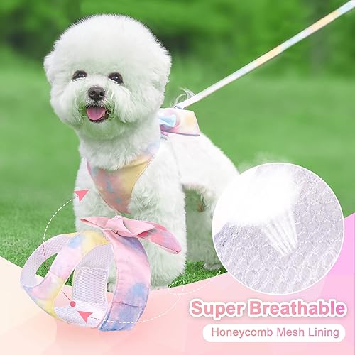 Miniatura 4 de PETCARE Bonito juego de arnés y correa para perro con pajarita y elegante arnés de arcoíris degradado para cachorros, sin tirones, malla suave,