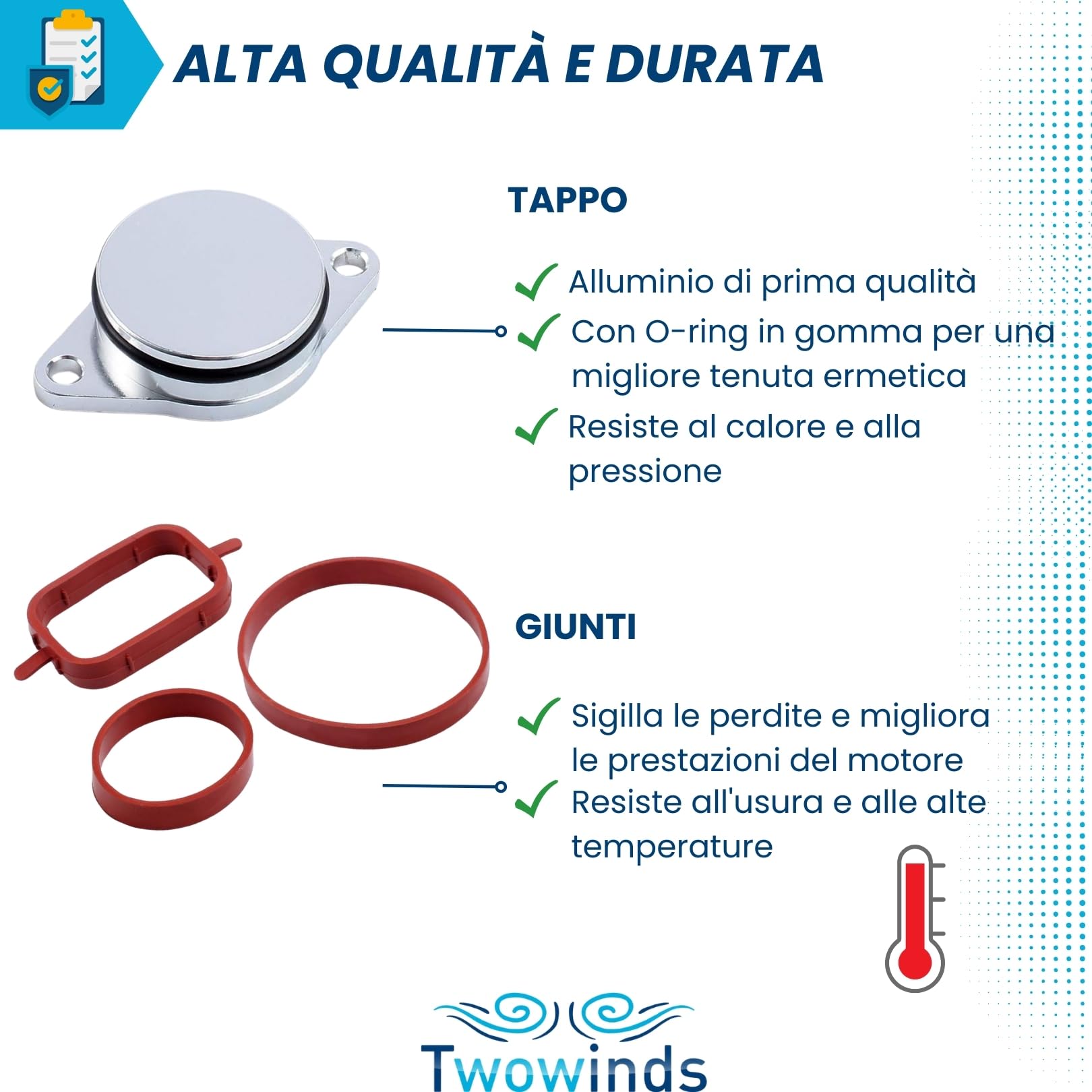 Twowinds - Kit Annullare Farfalle Collettore di Aspirazione (32 mm) Compatibile con BMW 320d 330d 520d 525d 530d 730d - Rimozione Swirl Flap - Eliminazione Valvole Swirl (13 guarnizioni e 6 tappi)