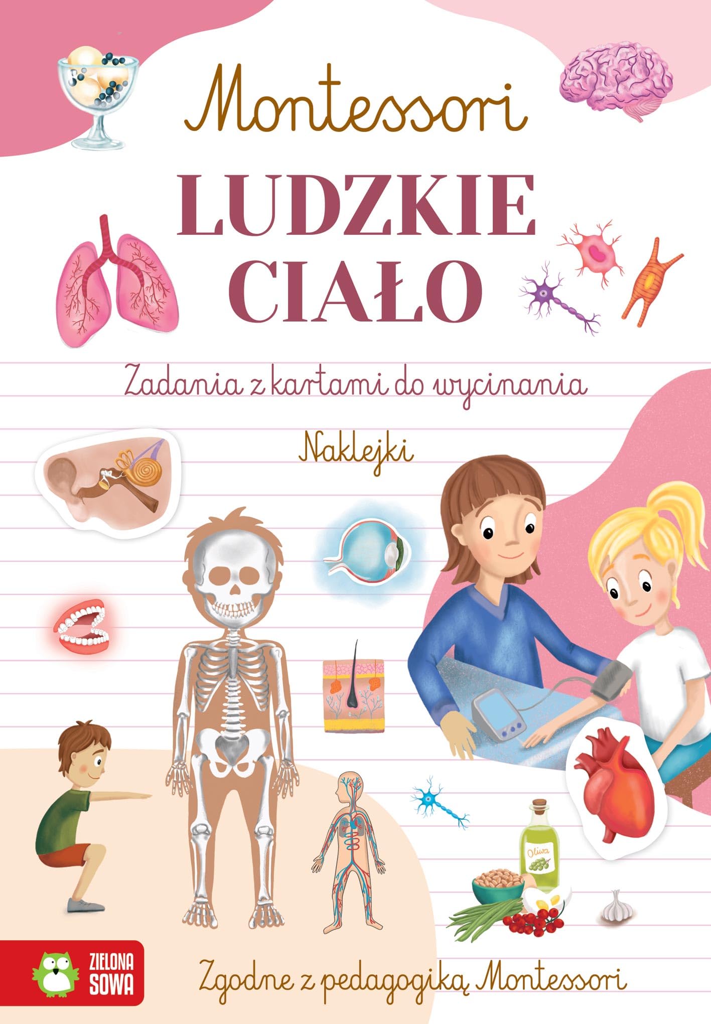 Montessori Ludzkie ciało