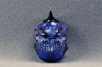 Amazon | BACALYSO | 涅槃 1/1 サイズ ムラサキオオニジ