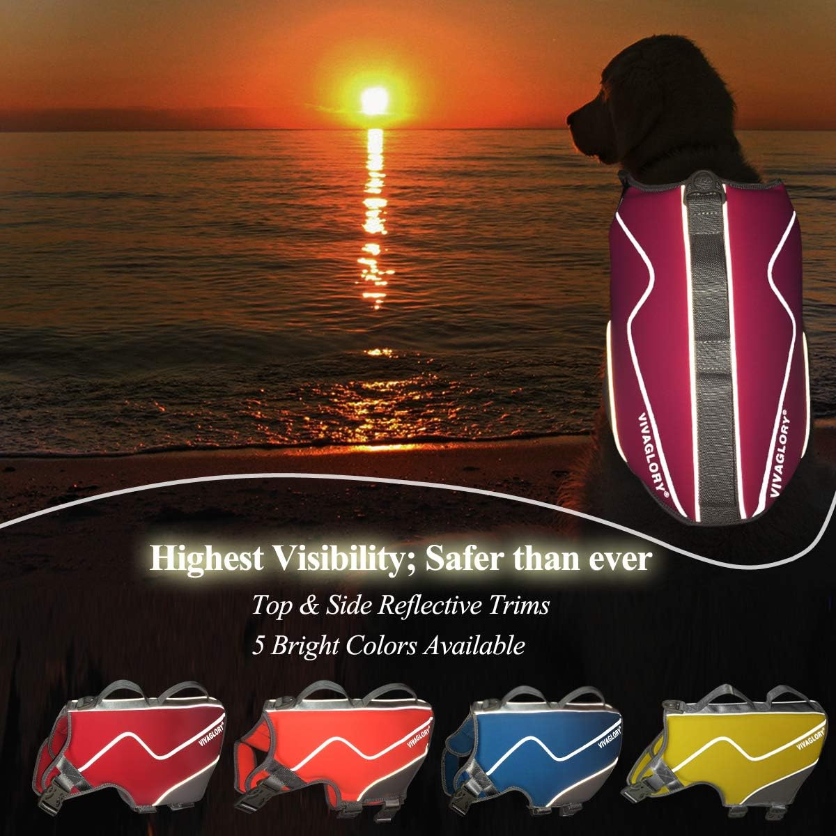 Chew-Proof Dog Leash + Dog Life Jacket