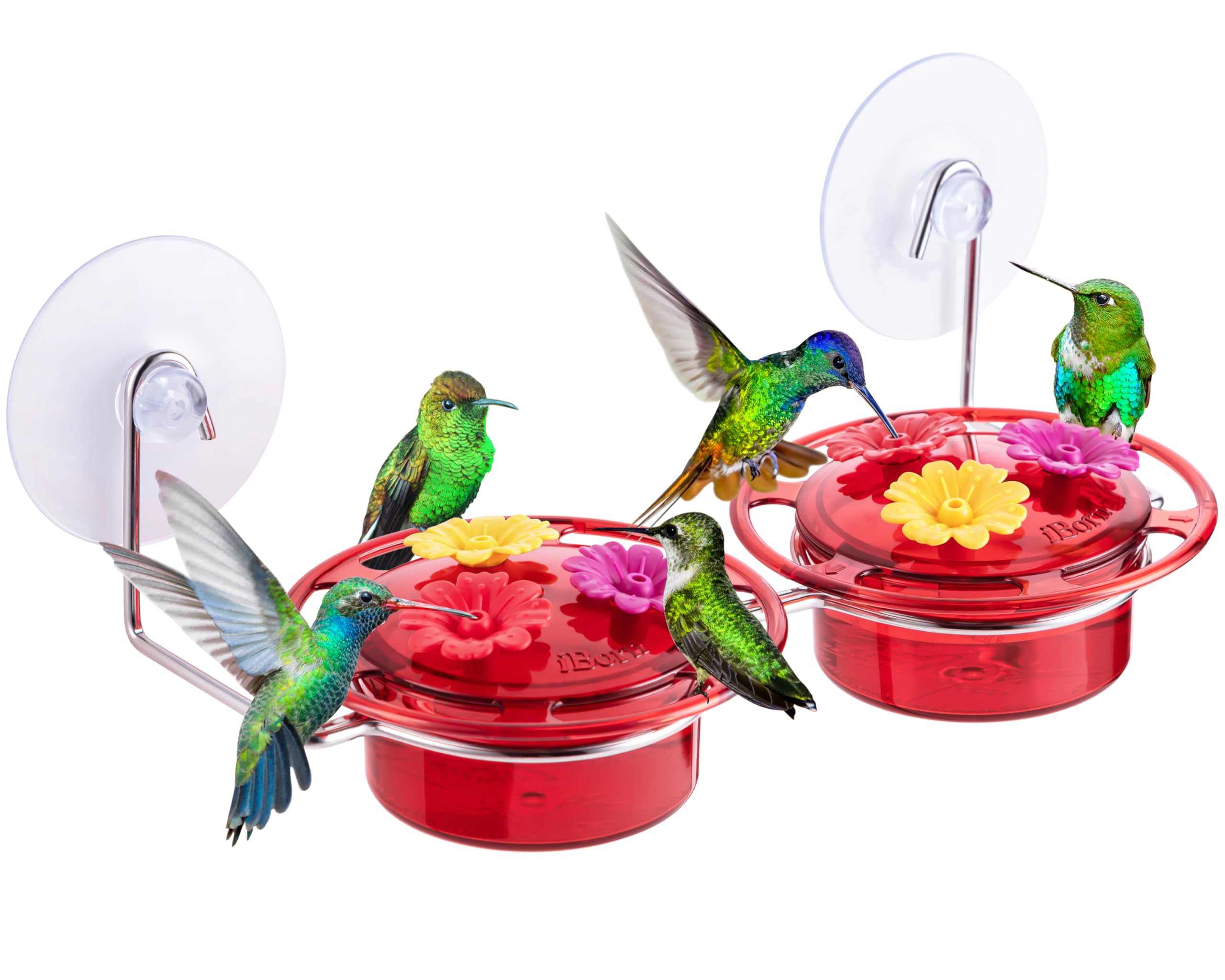 iBorn Window Hummingbird Feeder Hummingbird Feeder with Strong Suction Cup Mini Humming Bird Feeders for Outdoors, Bee-Proof Feeding Ports & Stainless