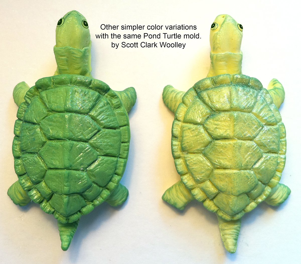 Scott Clark Woolley Pond Turtle - Molde de silicona