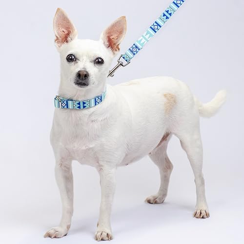 Miniatura 9 de Country Brook Petz - Juego de collar y correa de perro de muñeco de nieve de alta calidad, colección navideña con 11 diseños (grande)