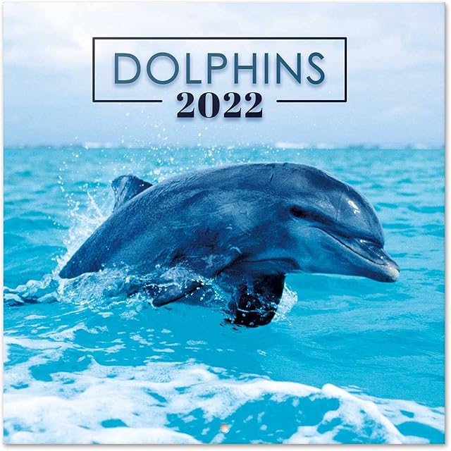 Official Dolphins 2022 Wall Calendar, 2022 Calendar, 12" x 12" Square Wall Calendar 2022, Family Calendar 2022, Dolphins Calendar 2022 - Animals Calendar 2022
