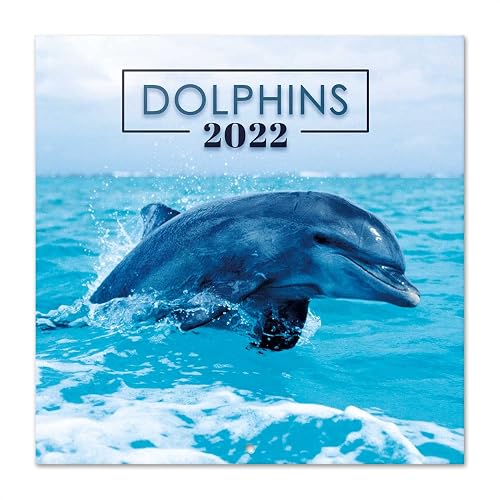 Grupo Erik: Official Dolphins 2022 12' x 12' Square Wall Calendar 2022, Family, Dolphins Animals Calendar