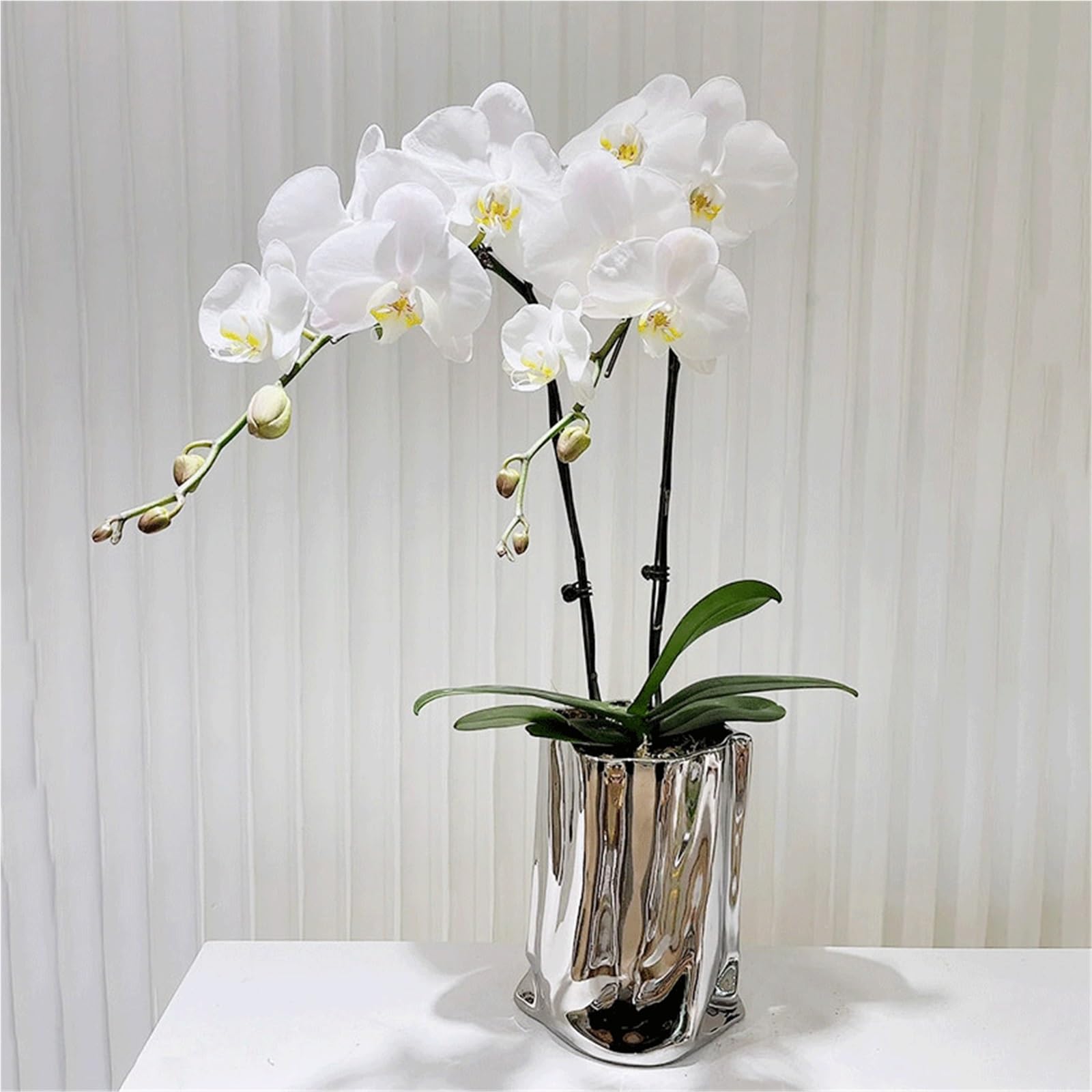 Doniczki zewnętrzne Luksusowy i elegancki wazon z orchideą Phalaenopsis do salonu: posrebrzany ceramiczny Doniczki(Duży)