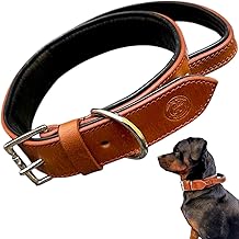 100% Pure Leather Handstiched Dog Collar for Large, Medium, Gaint Breed Dogs - Genuine Robust Supreme Quality Guaranteed (TAN, XL - Neck Size (21" - 26"))