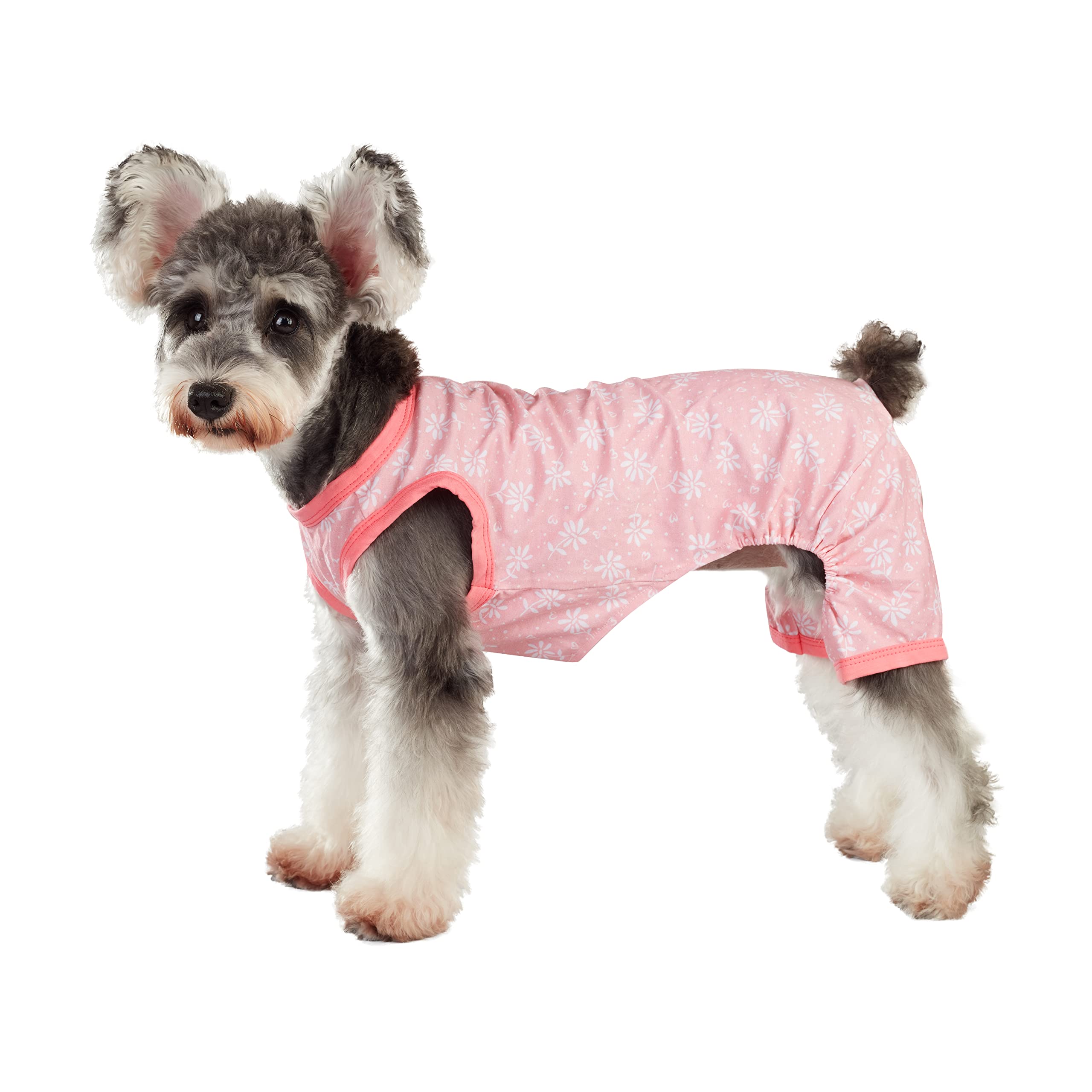 Pyjama pour chiens motif floral de Pâques taille S aux finitions soignées