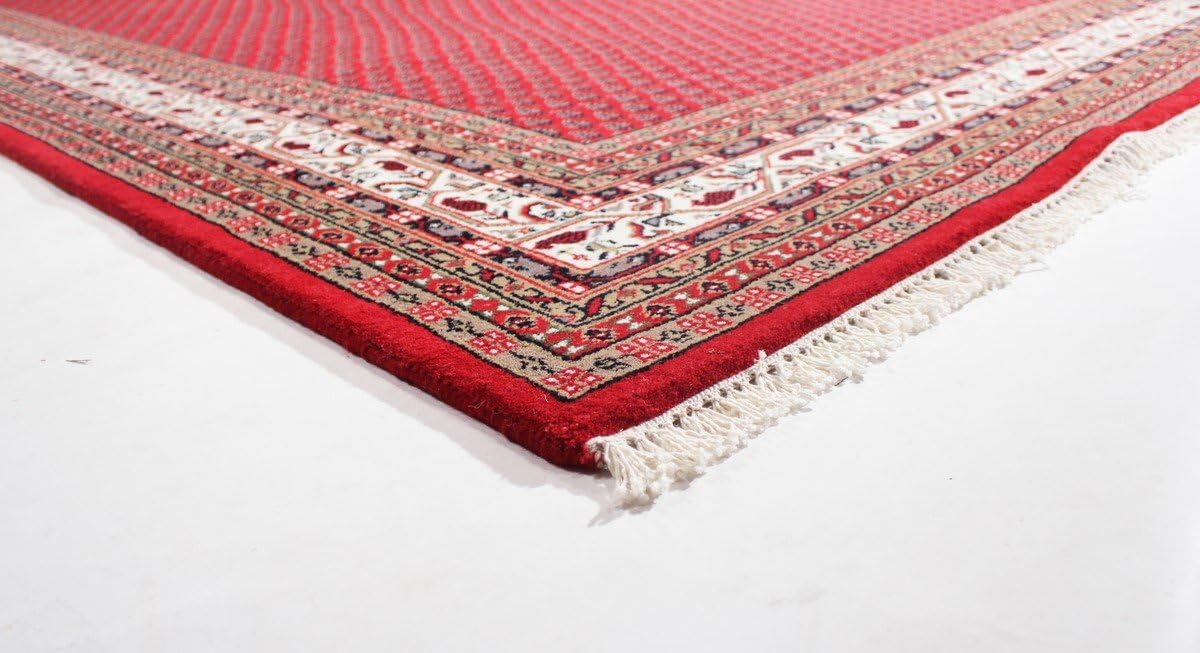 Top-Angebot: Indo Sarough Mir 250 x 350 cm Hand Knotted Oriental Rug Wool India 14 Handgeknüpfte Perserteppiche & Orientteppiche Wien (Österreich) | Hamburg (Deutschland) | New York | Los Angeles (USA), gratis Versand Europaweit nach Frankreich, Italien, Schweiz, Niederlande, Spanien, Schweden, Belgien, Österreich, Norwegen, Dänemark, Polen, Irland, Finnland, Portugal, Tschechien, Griechenland, Ungarn, Rumänien 71e0 M9sSYL. AC SL1200 Handgeknüpfte Perserteppiche & Orientteppiche Wien (Österreich) | Hamburg (Deutschland) | New York | Los Angeles (USA), gratis Versand Europaweit nach Frankreich, Italien, Schweiz, Niederlande, Spanien, Schweden, Belgien, Österreich, Norwegen, Dänemark, Polen, Irland, Finnland, Portugal, Tschechien, Griechenland, Ungarn, Rumänien