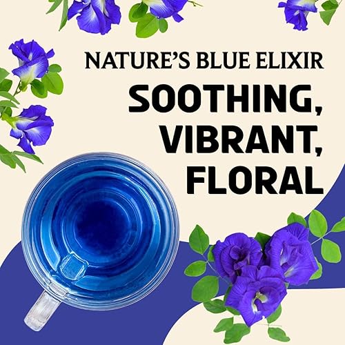 Miniatura 46 de BREWIX, Discover India Caja de regalo de Navidad de té negro prémium (6.34 oz/más de 90 tazas) Juegos de regalo de té para amantes del té 6 tés