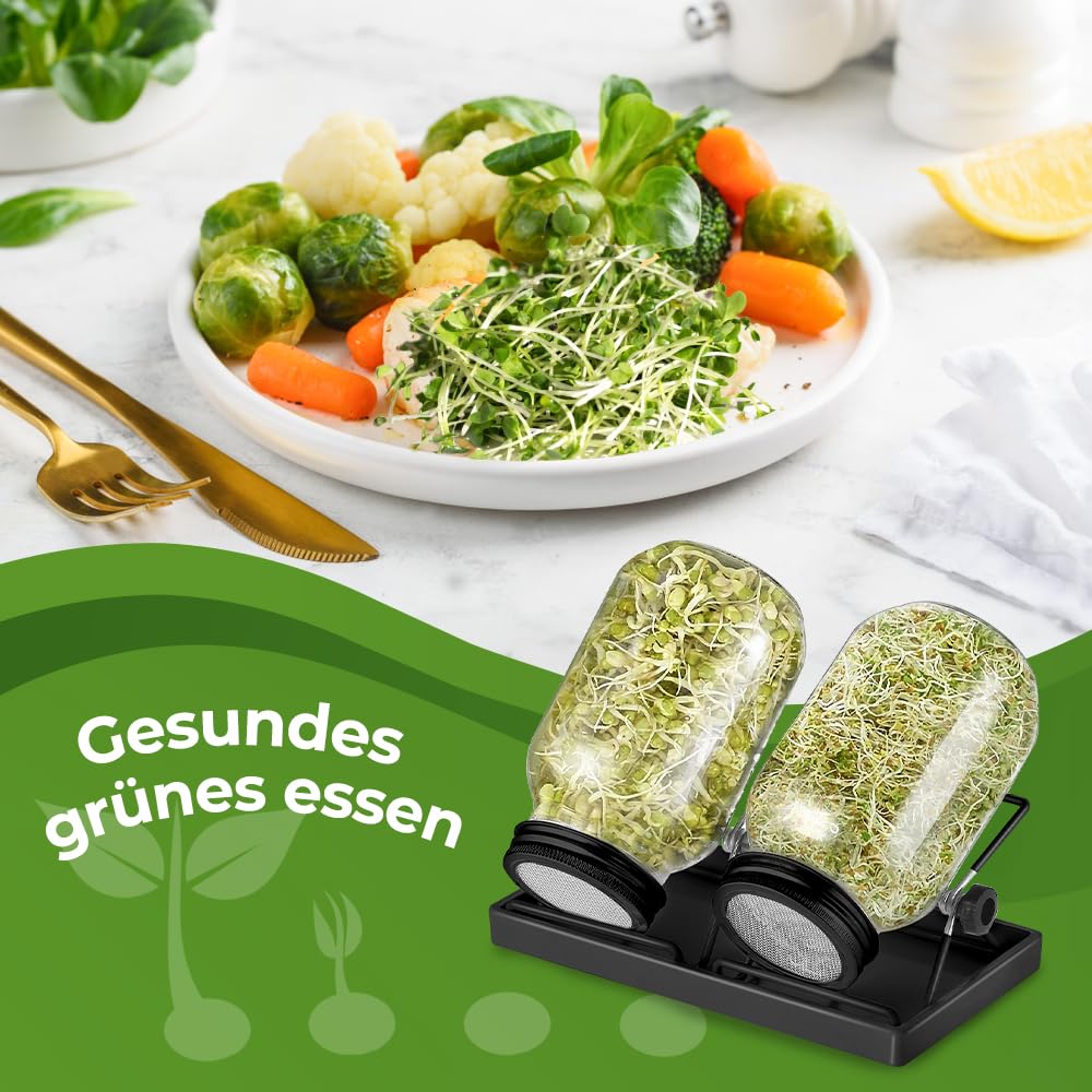 ecooe Sprossen - Juego de 2 tarros de cristal germinado para brotes de cristal con 1 cuenco de agua, 2 cubiertas de rejilla de filtro de acero inoxidable 304 y 2 soportes