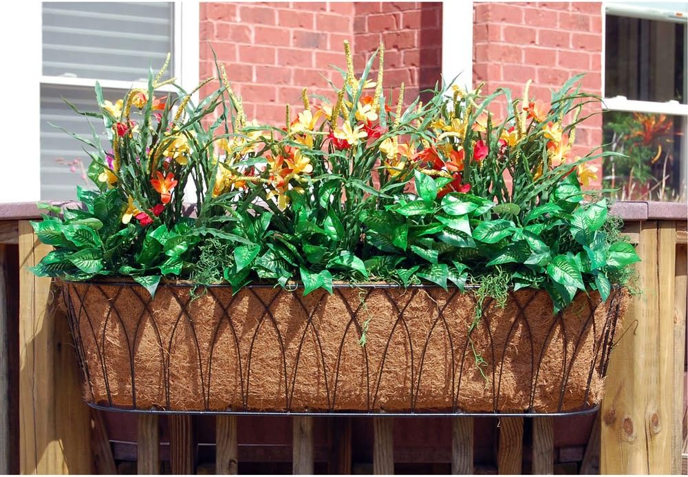 Nelumbo Rectangular Window Box Size: 48" W