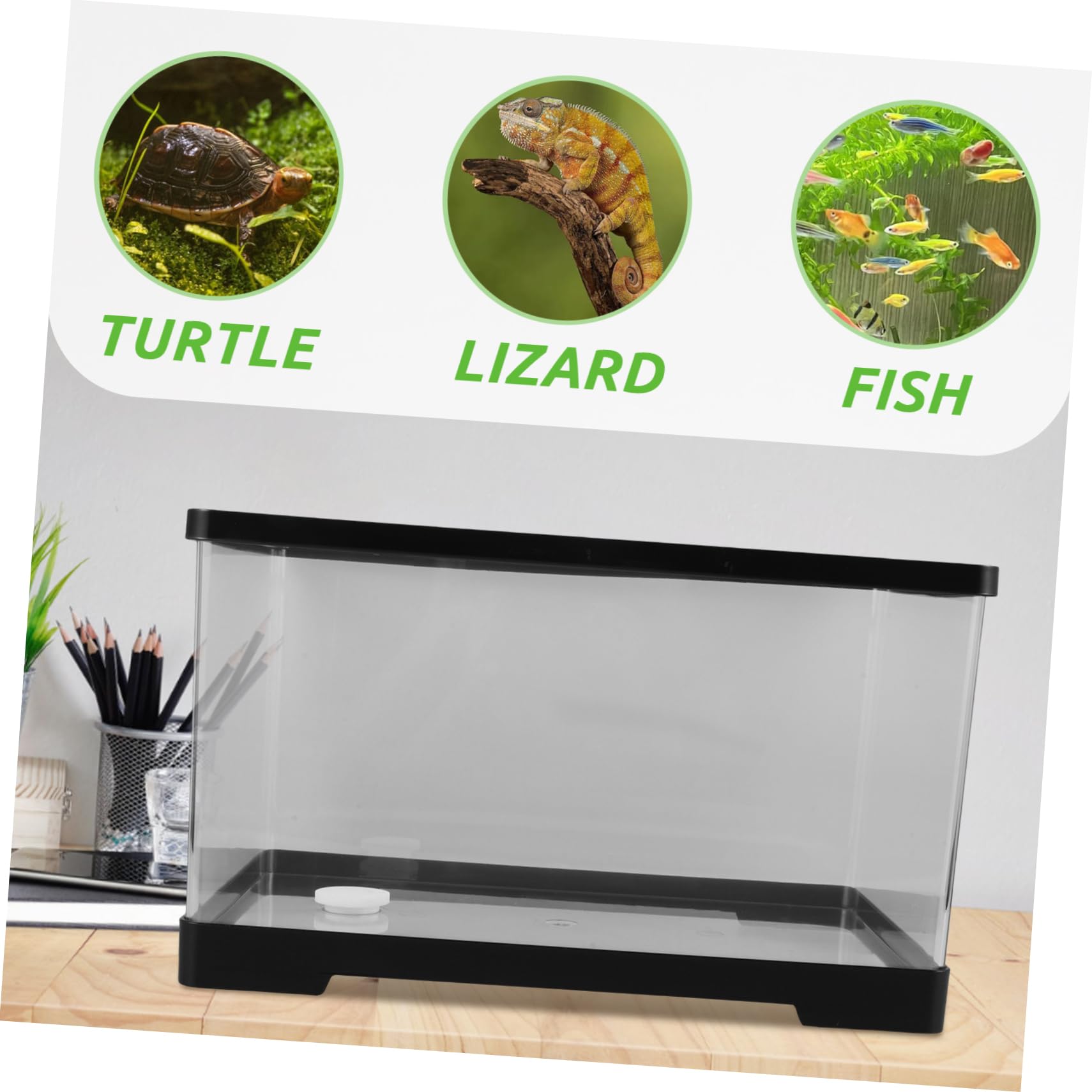 Happyyami Mini Aquarium Aquarium Kit Tank Desktop Schildkröte Zucht Box