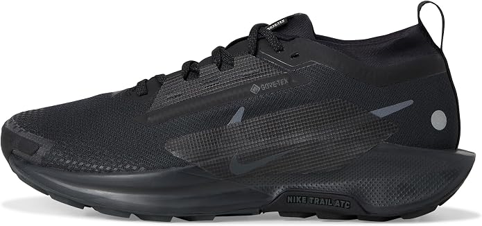 Nike Pegasus Trail 5 Gore-Tex Tênis masculino, Preto/Antracite, 40