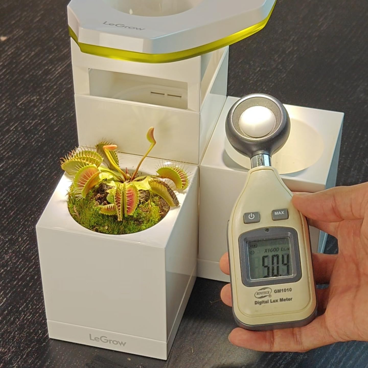 LeGrow Venus Fly Trap Pot, 50000lux Grow Light with Timer, 7 Days Watering Free, Indoor Planter with Drainage Hole & Self-Watering Tray for Carnivorous Plant, Sundew, Succulent, Cactus [No Plant]