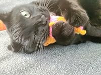 Review Image by Susan O. Scherer Susan O. Scherer