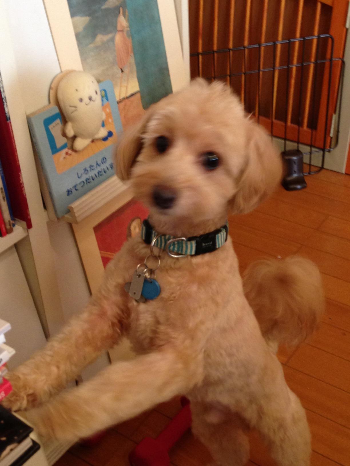 お客様イメージ