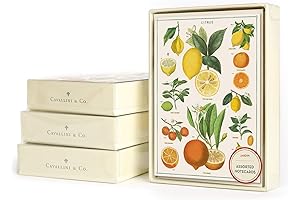 Cavallini Papers & Co. Jardin Boxed Note Cards