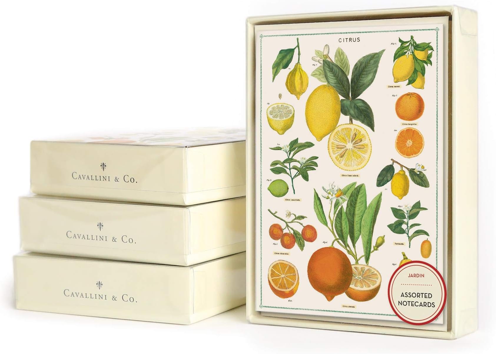 Cavallini & Co. Jardin Boxed Note Cards