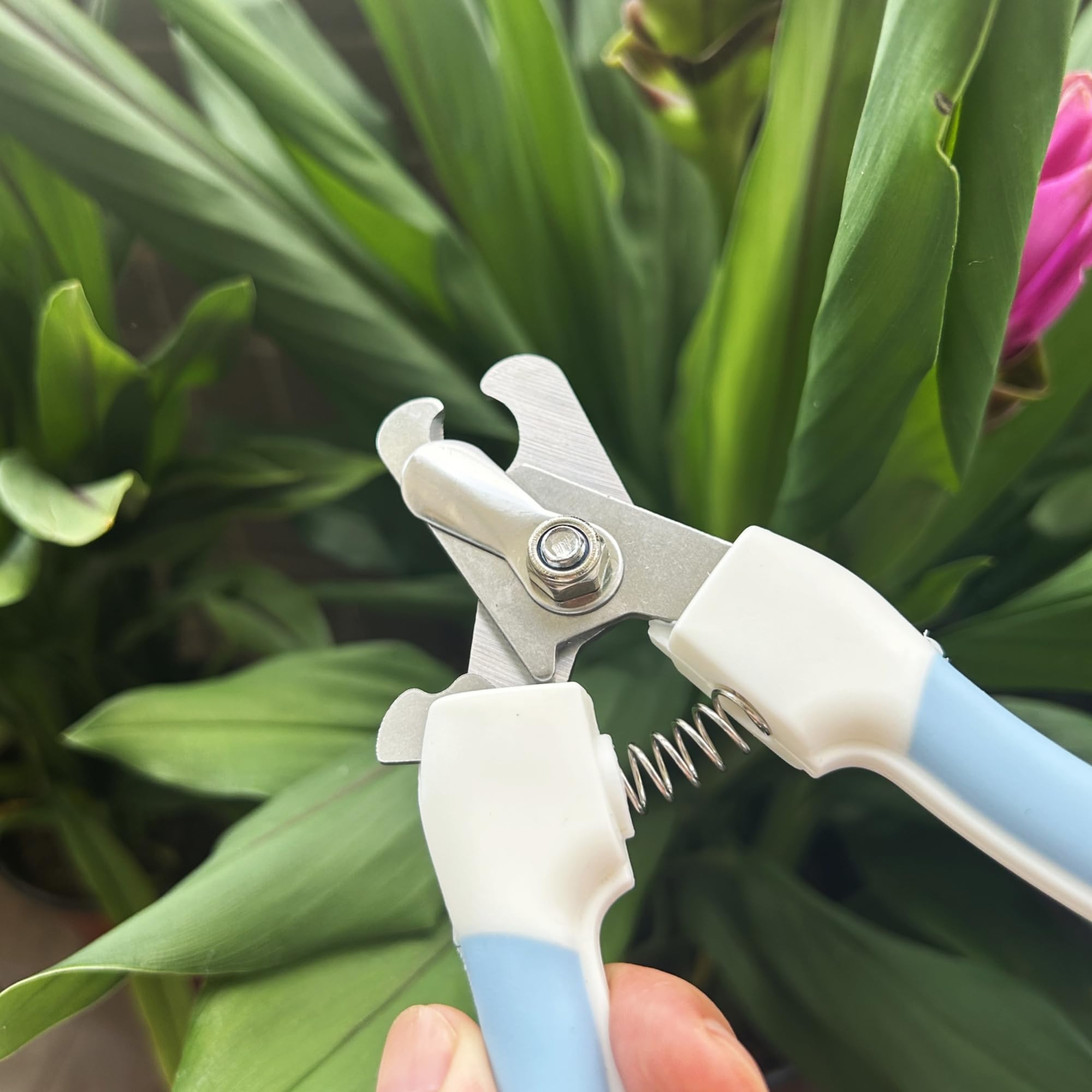 Manekieko Professional Dog and Cat Claw Care with Nail File, Safety Mechanism, Pet Stainless Steel Claw Pliers, Blue - Image 3
