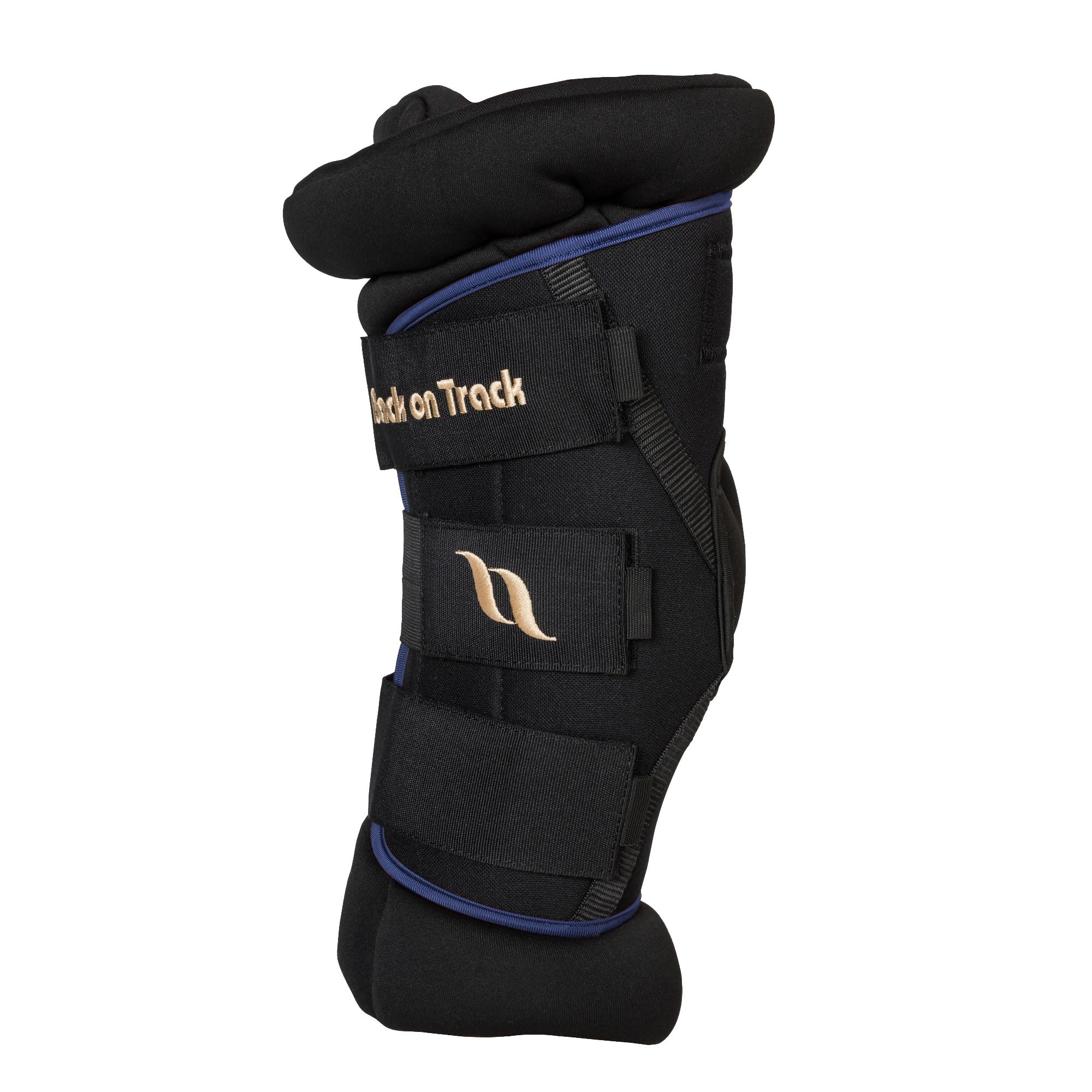 Back on Track Royal Padded Hock Boots Deluxe for Horses 2022 with Welltex Technology