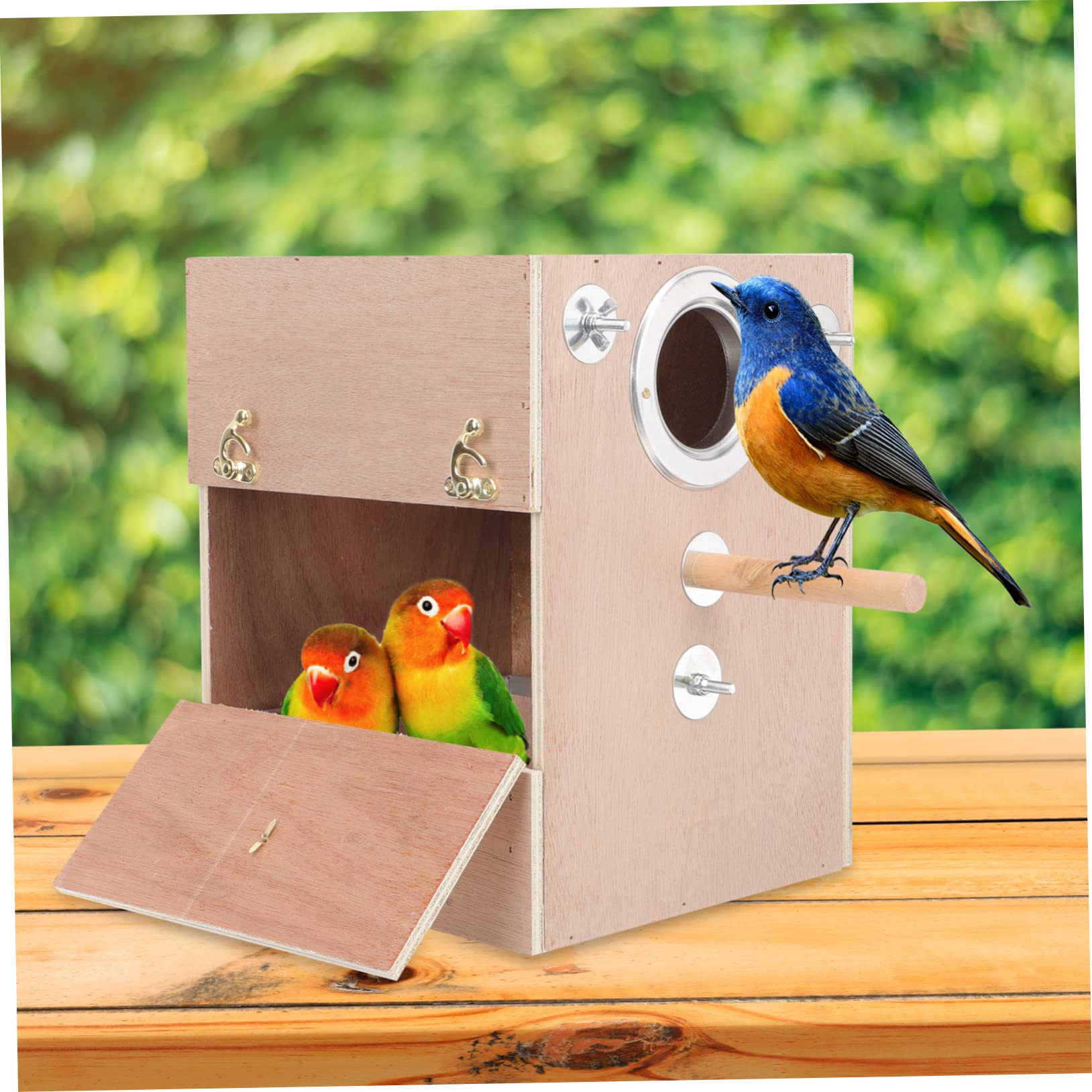 Angoily Nichoir en Bois pour Perroquets Et Petits Oiseaux Nichoir pour Perruches Et Oiseaux