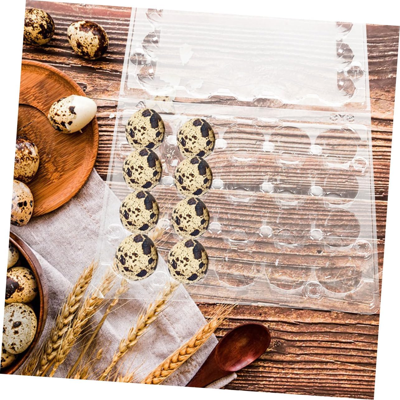 Angoily 20pcs Transparent Quail Holder Reusable Container for Storage Compact Design for Refrigerator and Kitchen Organization and Easy to Clean