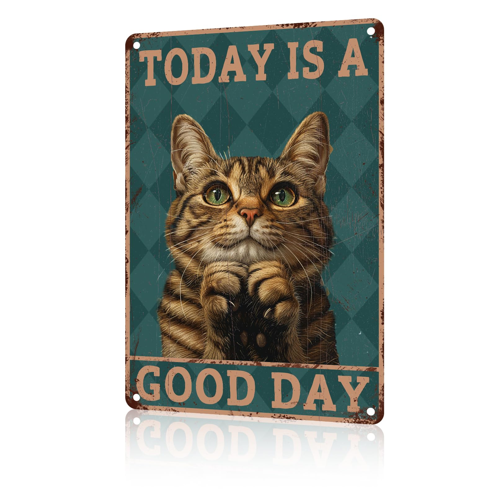 Anceky Animal Sign Today Is A Good Day Cat Sign Aluminum Sign Retro Metal Tin Sign Wall Decor for Farmhouse Yard Home Man Cave Cafe Pub 12×16 Inch