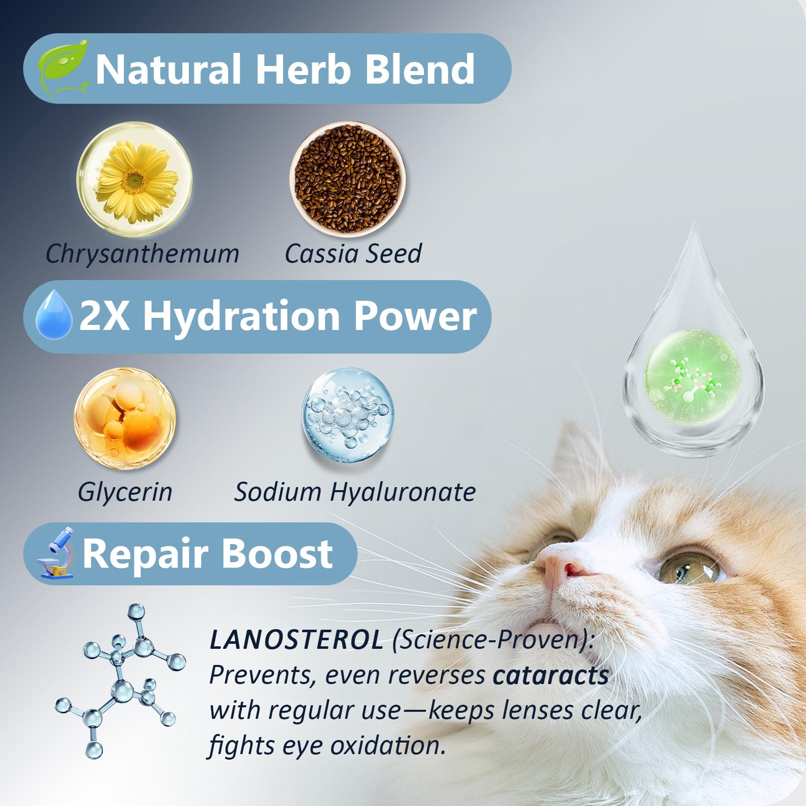 Dog & Cat Cataract Eye Drops & Infection Treatment – Vet-Recommended Formula for Cloudy, Itchy, Watery, Goopy Eyes and Pink Eye Treatment, Natural All-in-One Relief for Pet Eye Issues (2 X 10 ml) — Amazon image 5