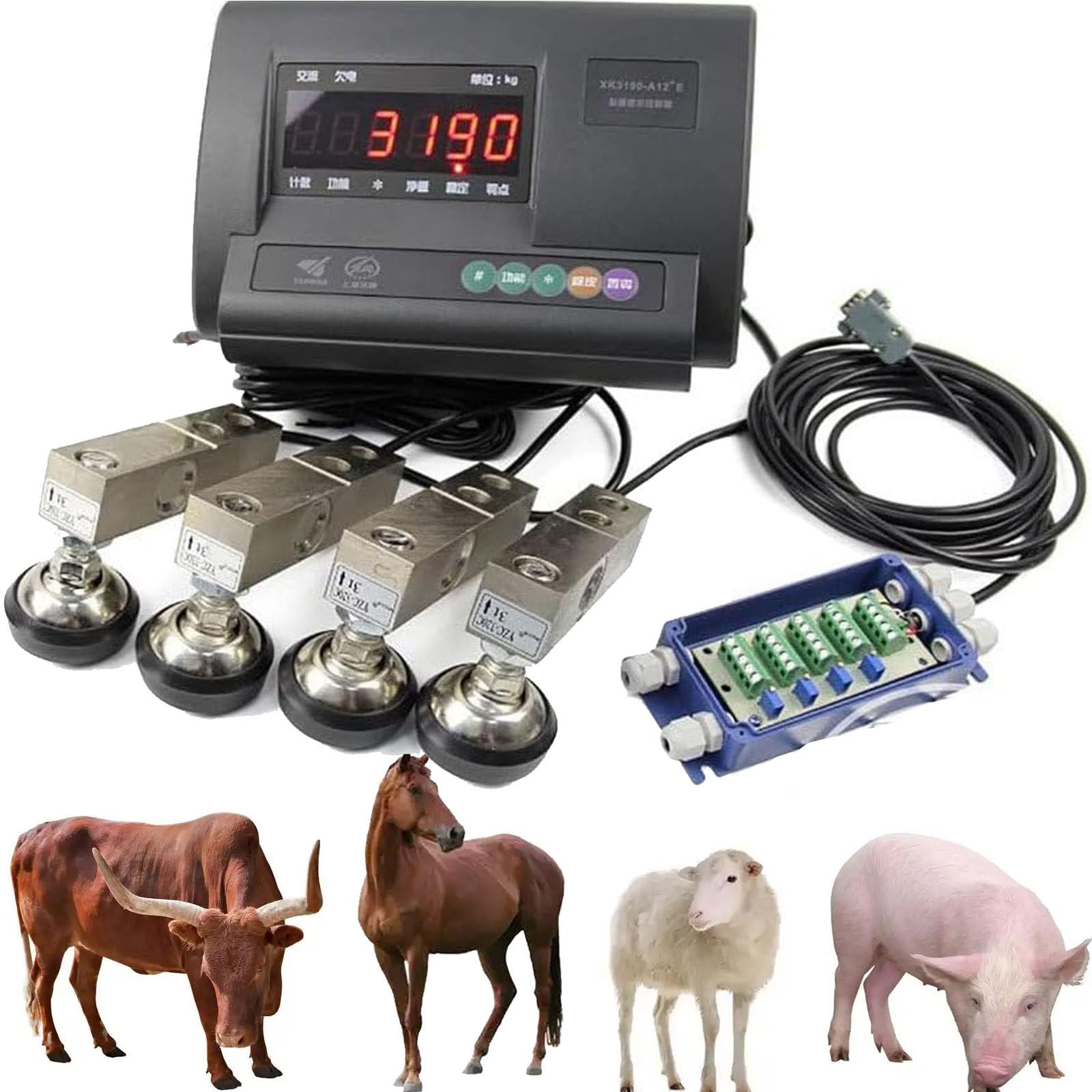Kit Bilancia per Bestiame, Bilancia per Scivolo per Bovini, Bilancia Elettronica per Bestiame, Kit Bilancia per Animali, Bilancia da Pavimento, Bilancia a Celle di Carico,2000KG