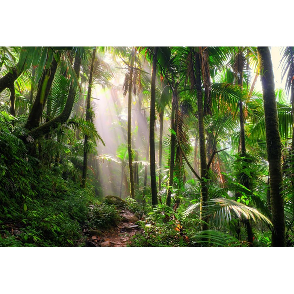 YongFoto 3x2,5m Vinile fondali fotografici Giungla Dirt Road I raggi del sole Palme Natura Sfondo foto Studio Fotografico nozze Fondale foto Accessori carta da parati