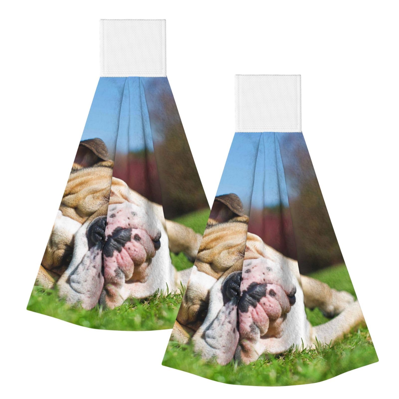 DOPKLNA English BullDogs Tired Dogs Lawn Pets English, 2 Pcs Hanging Coral Fiber Hand Towels for Bathroom, Absorbent Kitchen Towels