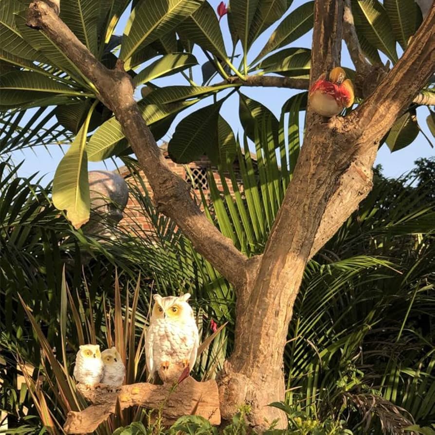 Amazon.co.jp: ふくろう置物 エクステリア リアルな梟