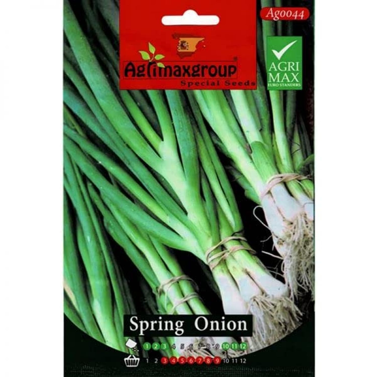 Spring Onion Premium Quality Seeds by Agrimaxgroup®"Garden Care"