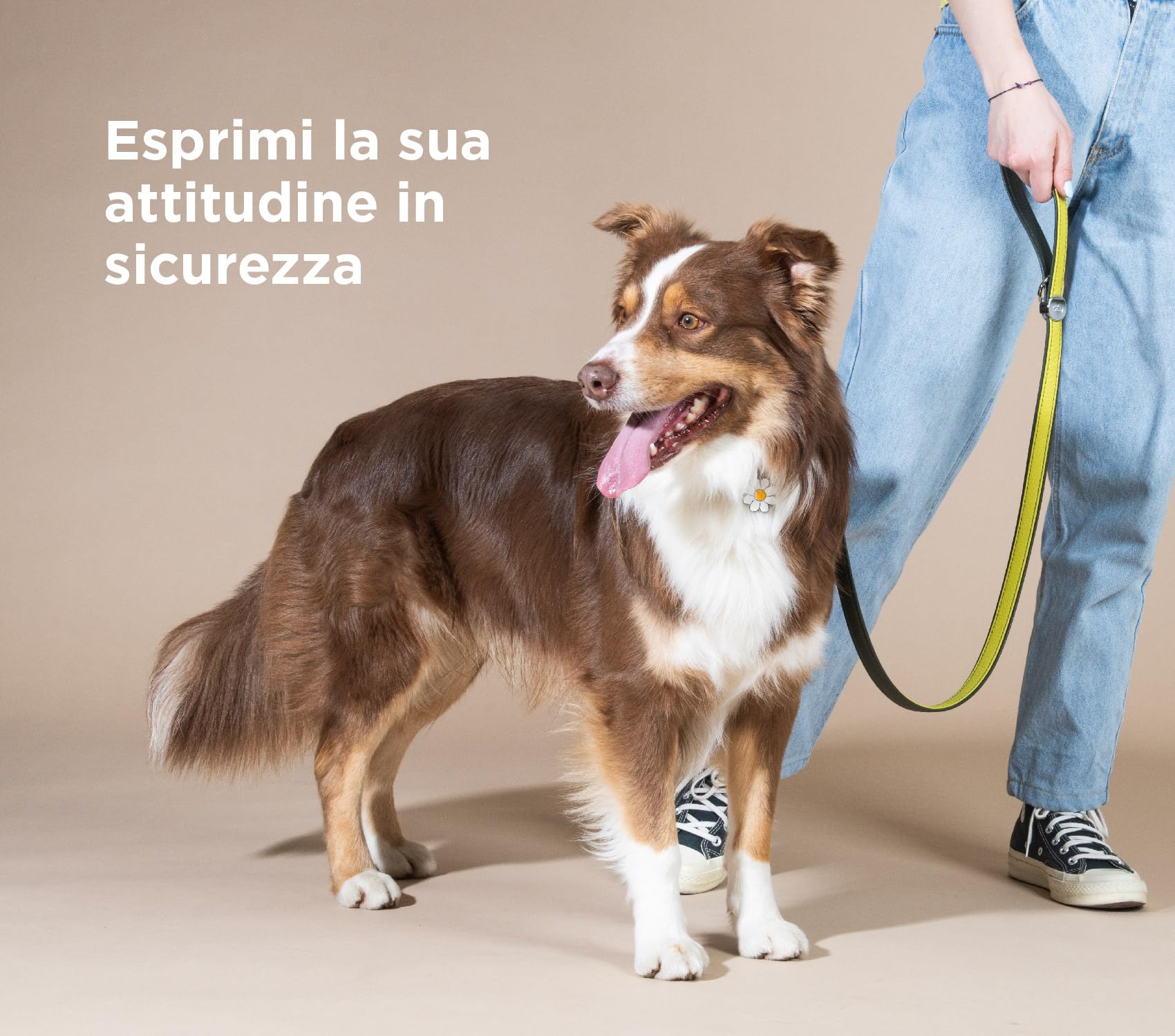 My Family Medaglietta per Cane Personalizzata, A Forma di Margherita Grande, Targhetta Cane con Incisione Gratis, Smaltata a Mano in Metallo, Collezione Charms