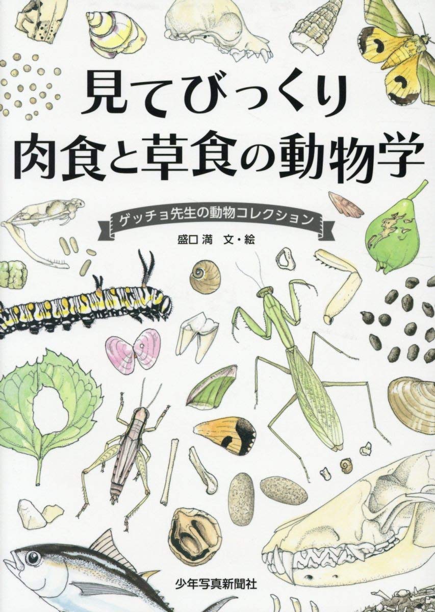見てびっくり 肉食と草食の動物学 ゲッチョ先生の動物コレクション 満 盛口 本 通販 Amazon