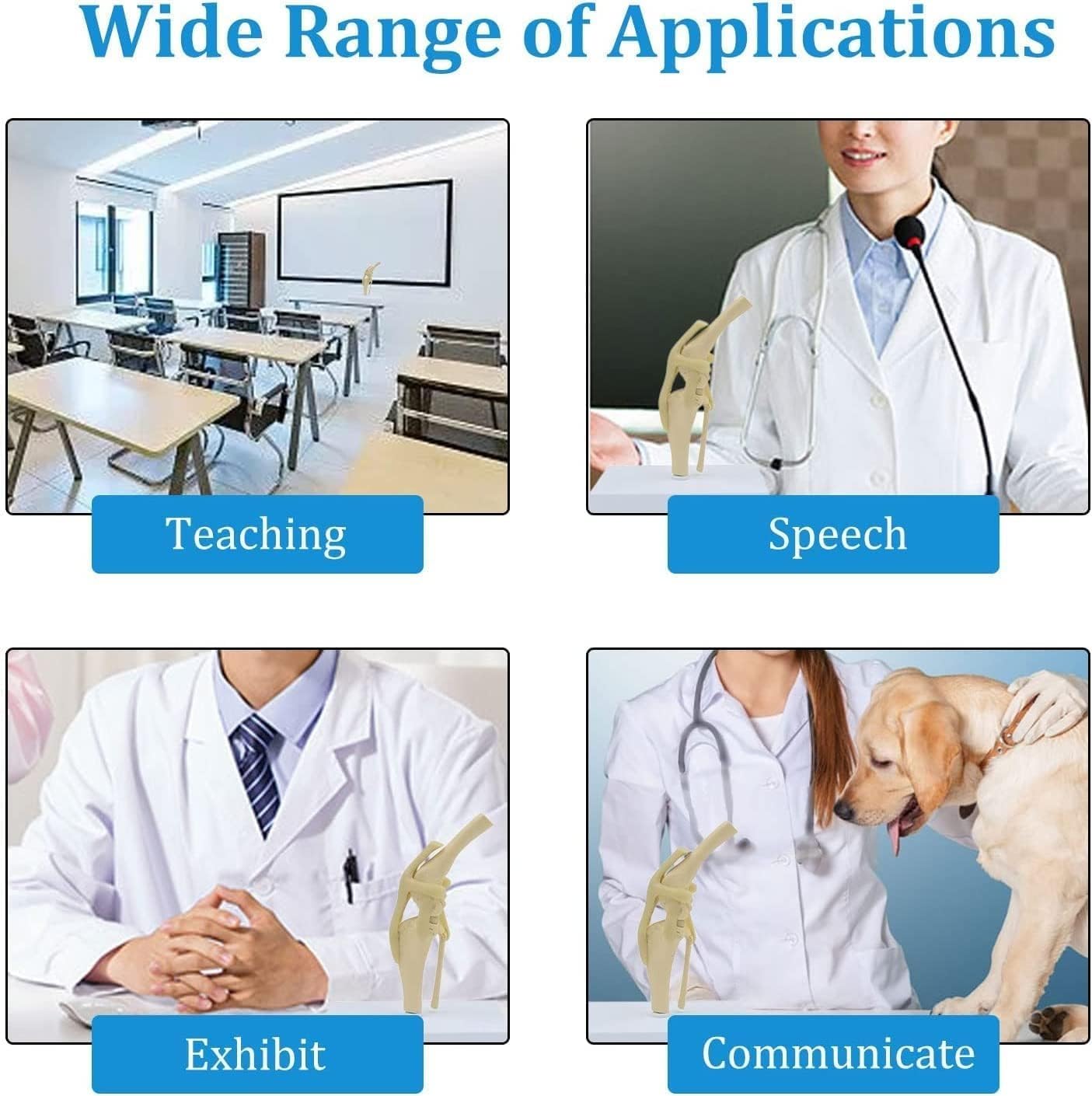 Model Anatomiczny Stawu Kolanowego Psa, Modele Anatomiczne Kolana Psa, Model Kolana Kolana Psa, Sztuczny Szkielet Stawu Psa Z PVC W Naturalnym Rozmiarze Dla Nauczania Weterynaryjnego I Kliniki Dla