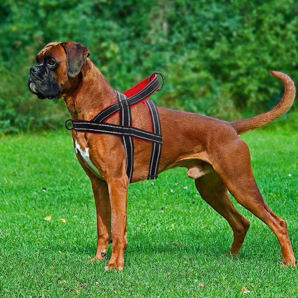 Beirui No Pull Escape Proof Dog Harness for Small Medium Large Dogs - Soft Padded Reflective Medium Dog Walking Harnesses (Black,M)