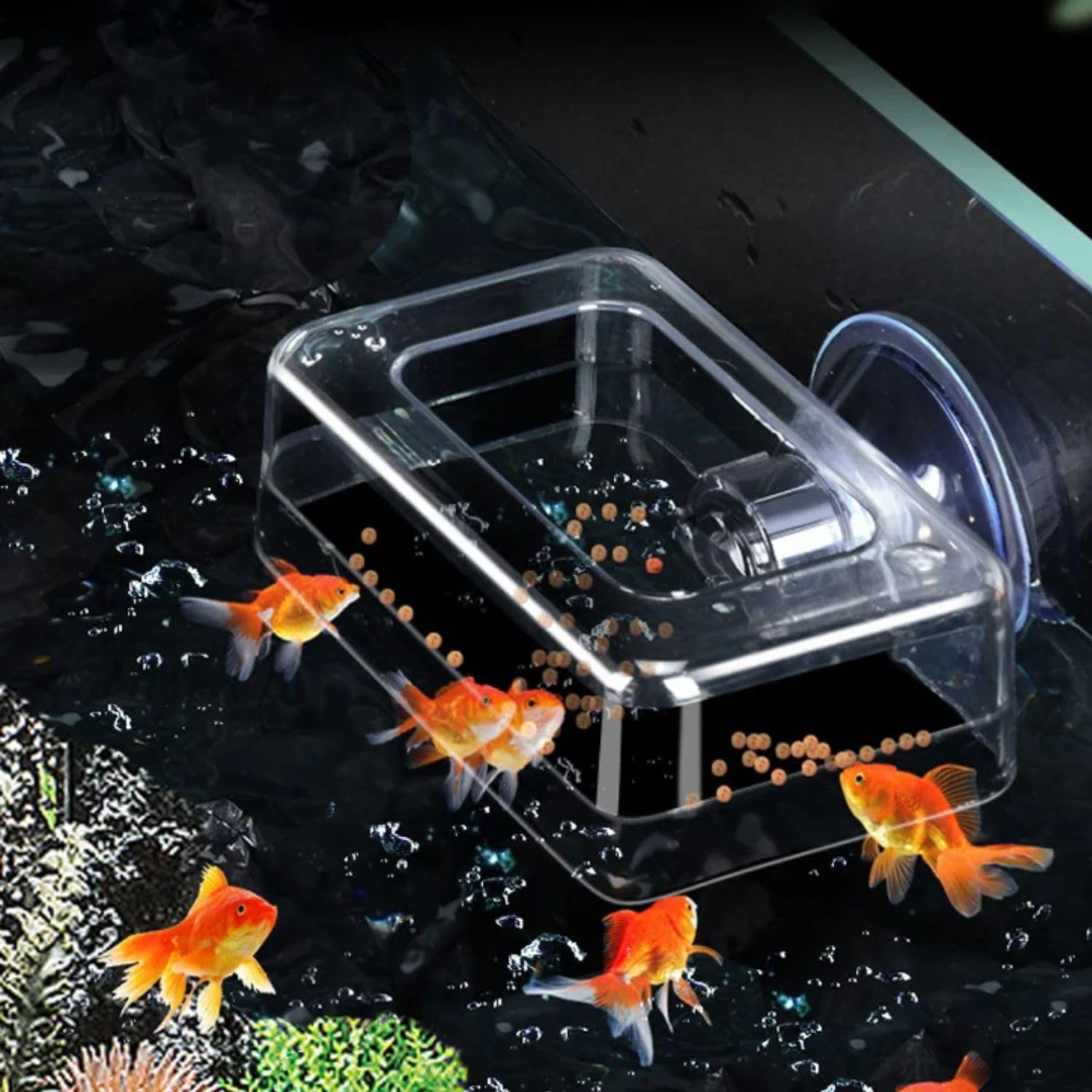 VAYINATO® 1pc Rectangular Shaped Acrylic Fish Feeding Box with Suction Cup, Transparent Fish Feeder, Aquarium Fish Tank Accessories Cichild, Beta, Goldfish, Spirulina and Koi Pond by Petzlifeworld-image-30