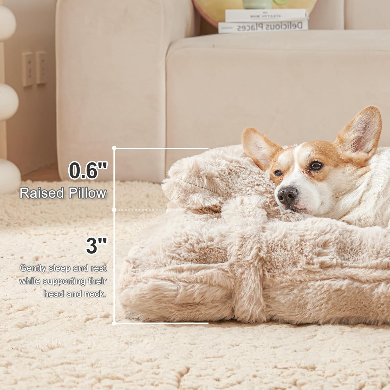 review Jiupety Medium Dog Bed for Crate, Mattress with Dog Pillow for Crate Large Dogs, Plush Dog Crate Pad for Medium Dogs Up to 35 Lbs, Large, Coffee.